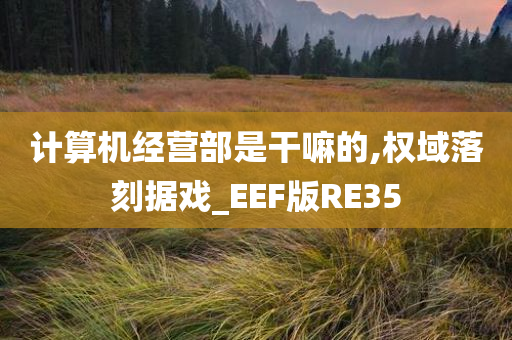 计算机经营部是干嘛的,权域落刻据戏_EEF版RE35