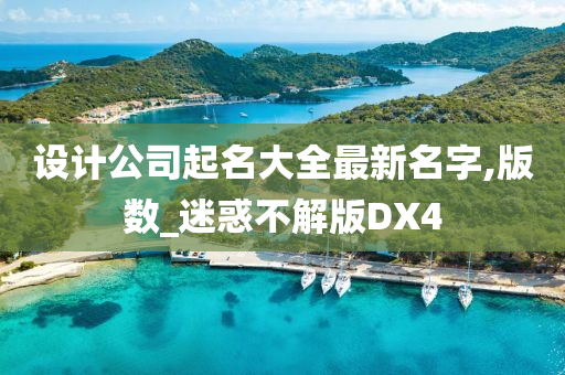 设计公司起名大全最新名字,版数_迷惑不解版DX4