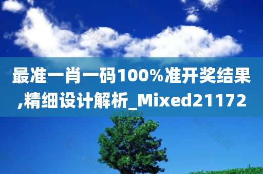 最准一肖一码100%准开奖结果,精细设计解析_Mixed211720