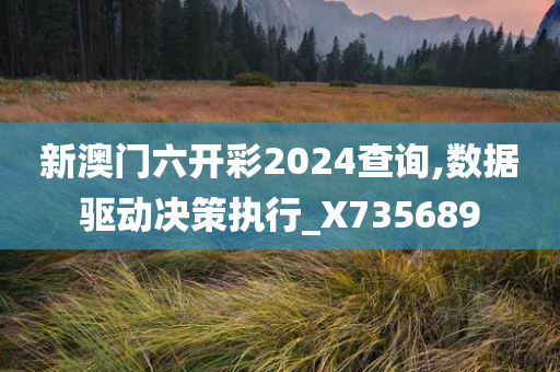 新澳门六开彩2024查询,数据驱动决策执行_X735689