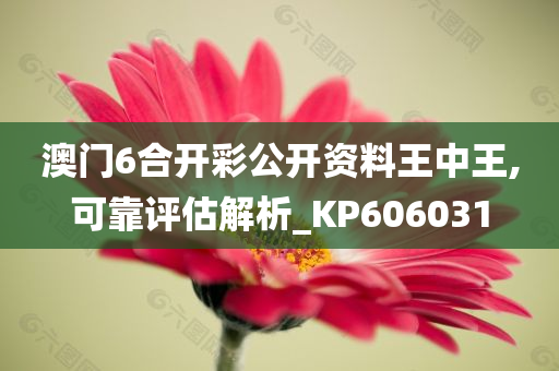 澳门6合开彩公开资料王中王,可靠评估解析_KP606031