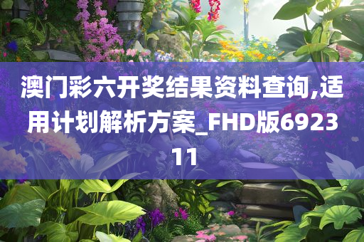 澳门彩六开奖结果资料查询,适用计划解析方案_FHD版692311