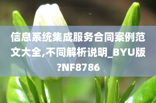 信息系统集成服务合同案例范文大全,不同解析说明_BYU版?NF8786