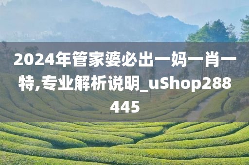 2024年管家婆必出一妈一肖一特,专业解析说明_uShop288445