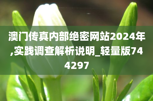 澳门传真内部绝密网站2024年,实践调查解析说明_轻量版744297