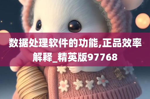 数据处理软件的功能,正品效率解释_精英版97768