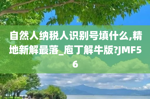 自然人纳税人识别号