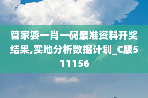 管家婆一肖一码最准资料开奖结果,实地分析数据计划_C版511156