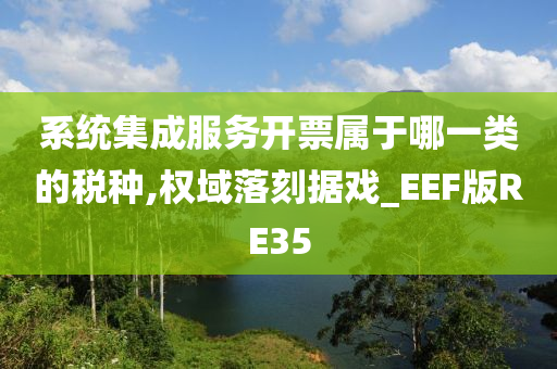 系统集成服务开票属于哪一类的税种,权域落刻据戏_EEF版RE35