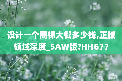 设计一个商标大概多少钱,正版领域深度_SAW版?HHG77