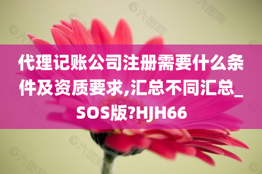 代理记账公司注册需要什么条件及资质要求,汇总不同汇总_SOS版?HJH66