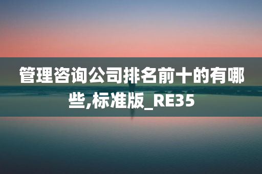 管理咨询公司排名前十的有哪些,标准版_RE35