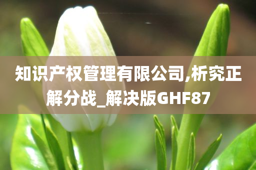 知识产权管理有限公司,析究正解分战_解决版GHF87