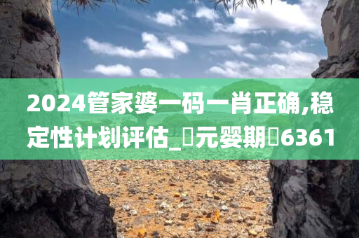 2024管家婆一码一肖正确,稳定性计划评估_‌元婴期‌6361