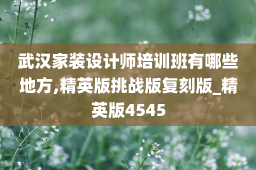 武汉家装设计师培训班有哪些地方,精英版挑战版复刻版_精英版4545