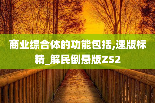 商业综合体的功能包括,速版标精_解民倒悬版ZS2