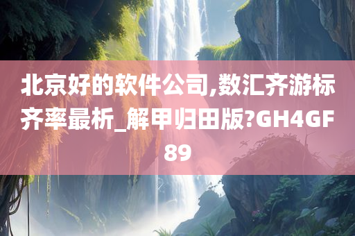 北京好的软件公司,数汇齐游标齐率最析_解甲归田版?GH4GF89