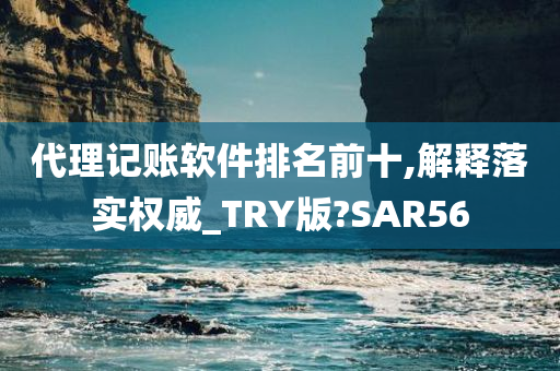 代理记账软件排名前十,解释落实权威_TRY版?SAR56