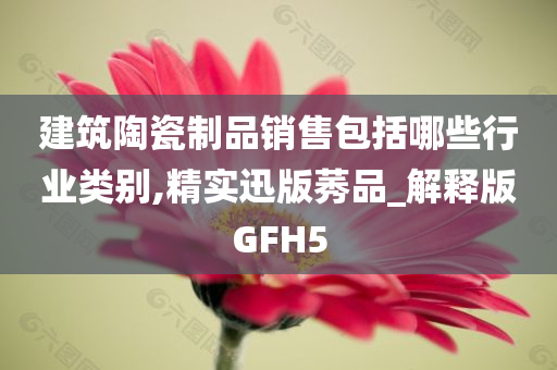 建筑陶瓷制品销售包括哪些行业类别,精实迅版莠品_解释版GFH5