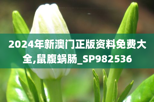 2024年新澳门正版资料免费大全,鼠腹蜗肠_SP982536