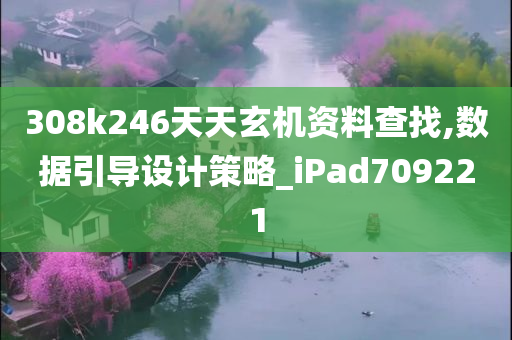 308k246天天玄机资料查找,数据引导设计策略_iPad709221