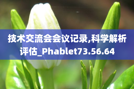 技术交流会会议记录,科学解析评估_Phablet73.56.64