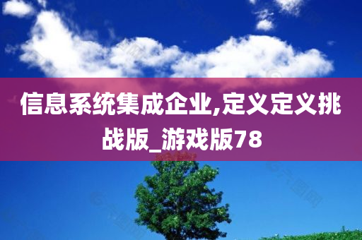 信息系统集成企业,定义定义挑战版_游戏版78