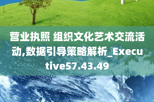 营业执照 组织文化艺术交流活动,数据引导策略解析_Executive57.43.49