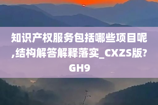 知识产权服务包括哪些项目呢,结构解答解释落实_CXZS版?GH9