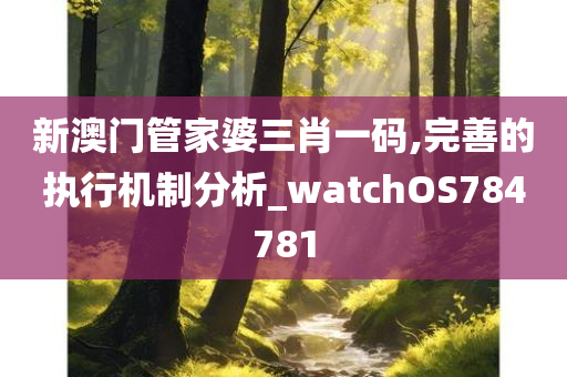 新澳门管家婆三肖一码,完善的执行机制分析_watchOS784781