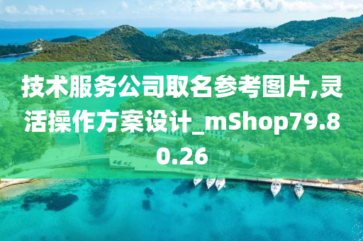 技术服务公司取名参考图片,灵活操作方案设计_mShop79.80.26