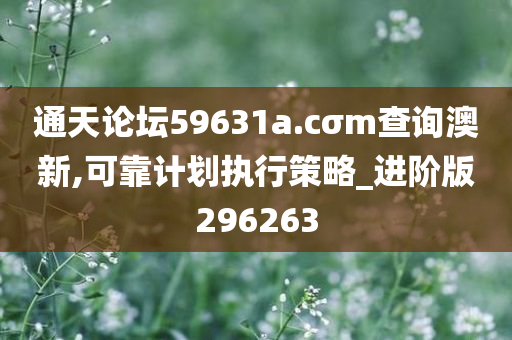 通天论坛59631a.cσm查询澳新,可靠计划执行策略_进阶版296263