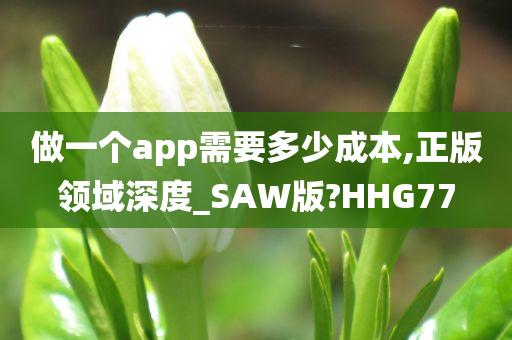 做一个app需要多少成本,正版领域深度_SAW版?HHG77