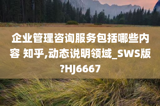 企业管理咨询服务包括哪些内容 知乎,动态说明领域_SWS版?HJ6667