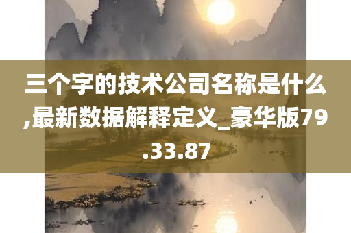 三个字的技术公司名称是什么,最新数据解释定义_豪华版79.33.87