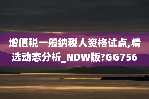 增值税一般纳税人资格试点,精选动态分析_NDW版?GG756