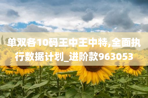 单双各10码王中王中特,全面执行数据计划_进阶款963053