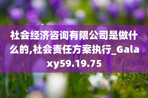 社会经济咨询有限公司是做什么的,社会责任方案执行_Galaxy59.19.75