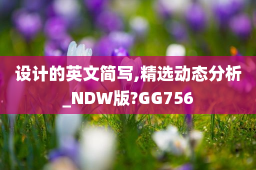 设计的英文简写,精选动态分析_NDW版?GG756