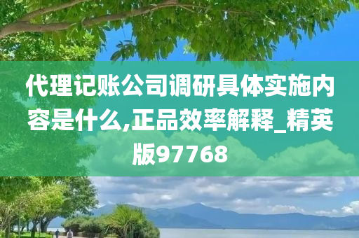 代理记账公司调研具体实施内容是什么,正品效率解释_精英版97768