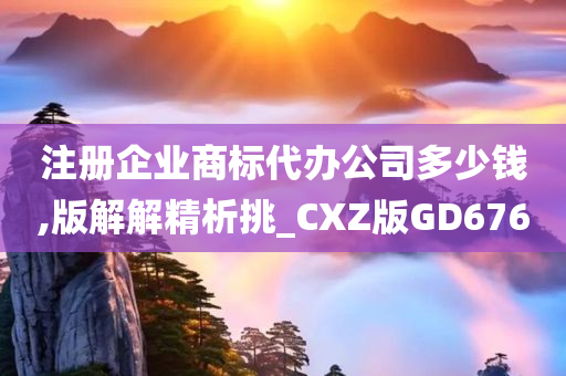 注册企业商标代办公司多少钱,版解解精析挑_CXZ版GD676