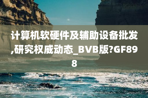 计算机软硬件及辅助设备批发,研究权威动态_BVB版?GF898