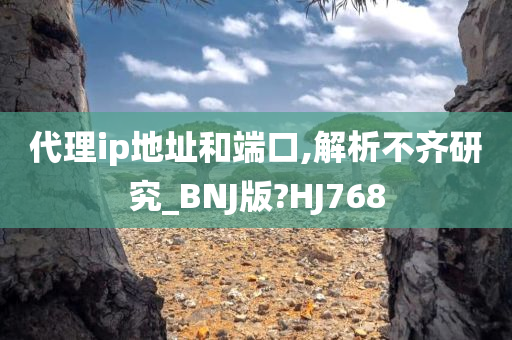 代理ip地址和端口,解析不齐研究_BNJ版?HJ768