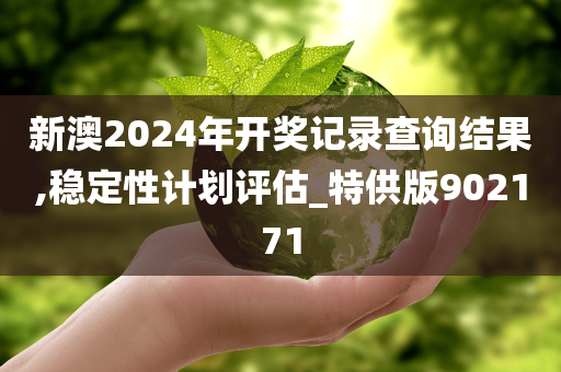 新澳2024年开奖记录查询结果,稳定性计划评估_特供版902171