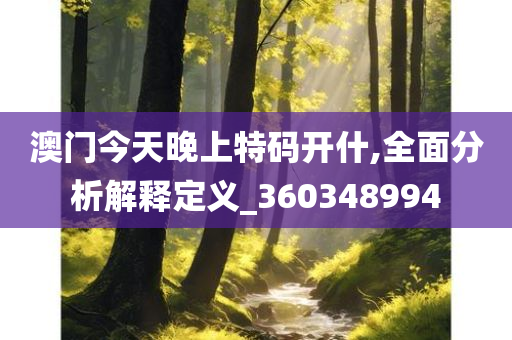 澳门今天晚上特码开什,全面分析解释定义_360348994