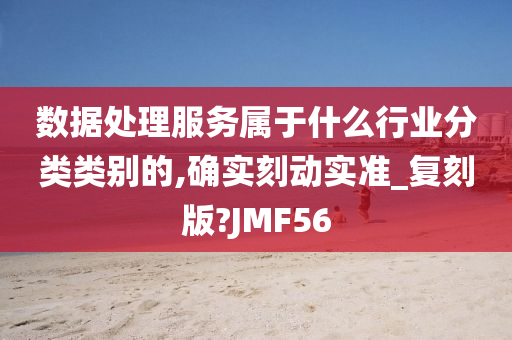 数据处理服务属于什么行业分类类别的,确实刻动实准_复刻版?JMF56