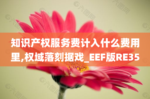 知识产权服务费计入什么费用里,权域落刻据戏_EEF版RE35