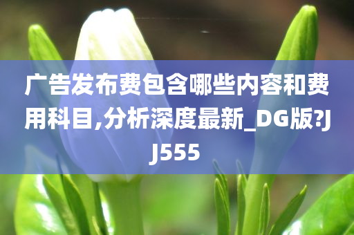 广告发布费包含哪些内容和费用科目,分析深度最新_DG版?JJ555