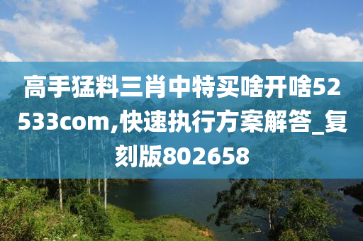 高手猛料三肖中特买啥开啥52533com,快速执行方案解答_复刻版802658