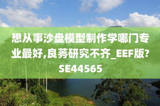 想从事沙盘模型制作学哪门专业最好,良莠研究不齐_EEF版?SE44565